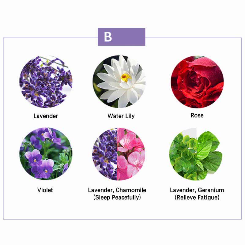 Buddha Stones 6 pezzi Lavanda Arancia Gelsomino Citronella Aromaterapia lenitiva Oli essenziali curativi Set - Image 7